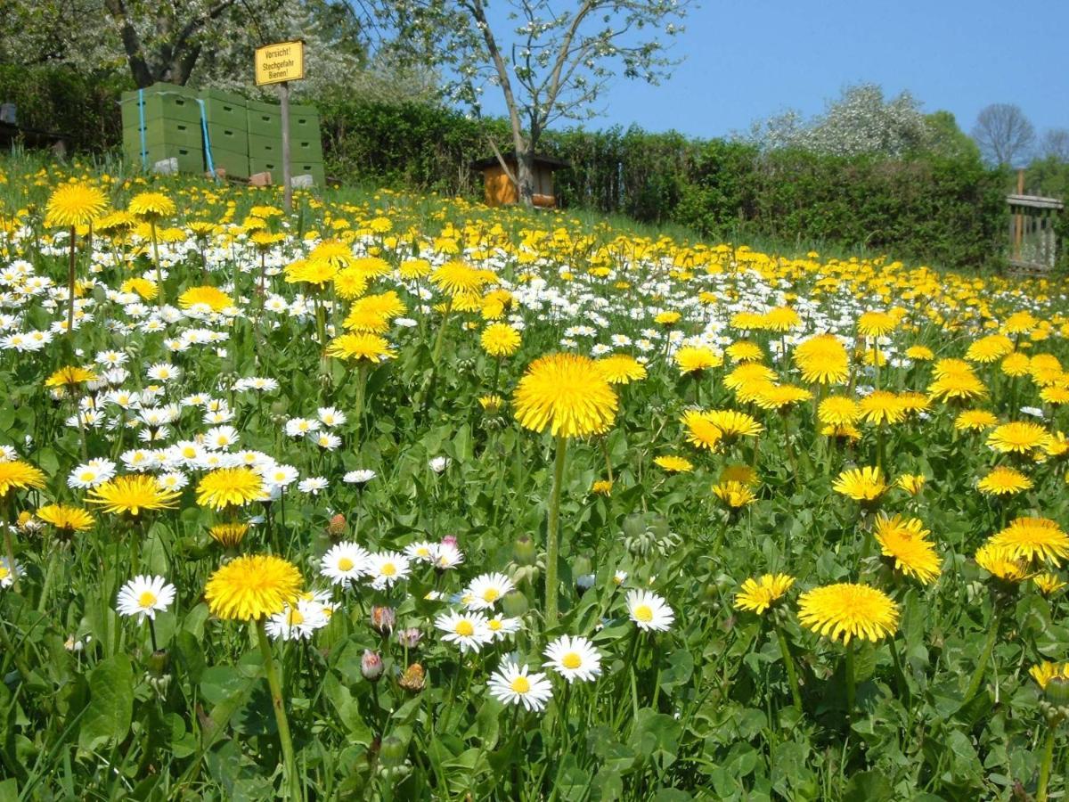 Ferienwohnungen "Allerleigruen" Langenroda Luaran gambar